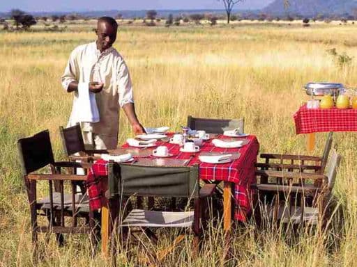 Amboseli Bush Breakfast