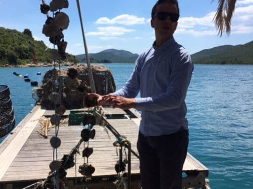 OYSTER TASTING MALI STON