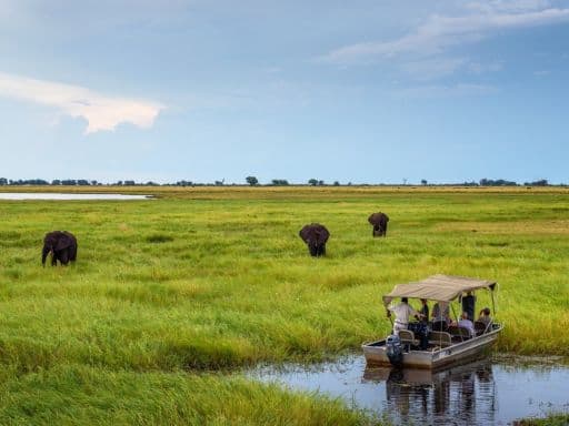 Chobe National Park