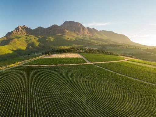 Stellenbosch