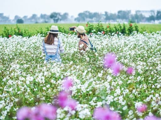 Zhongshe Flower Market