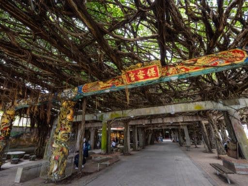 Tongliang Great Banyan