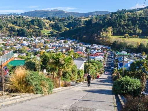 Dunedin City Sightseeing