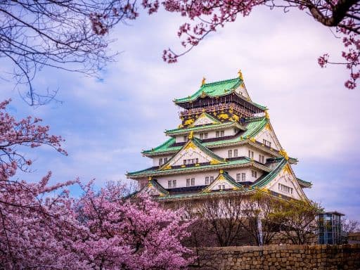SPRING BLOSSOMS IN HONSHU