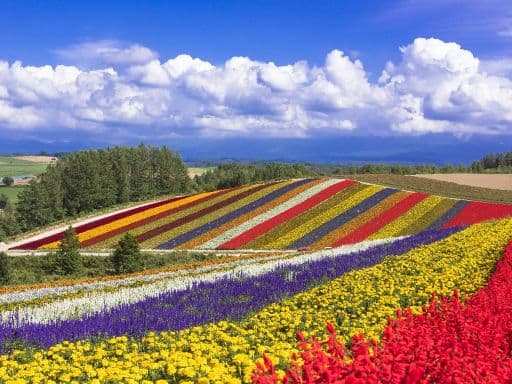 EXPLORE BEAUTIFUL HOKKAIDO