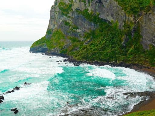 BEST OF JEJU ISLAND + 2N SEOUL